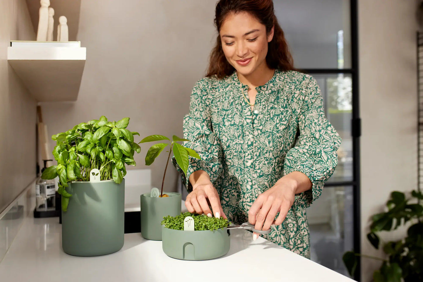 Elho Microgreens Anzuchtgefäß "magic Microgreens", Laubgrün