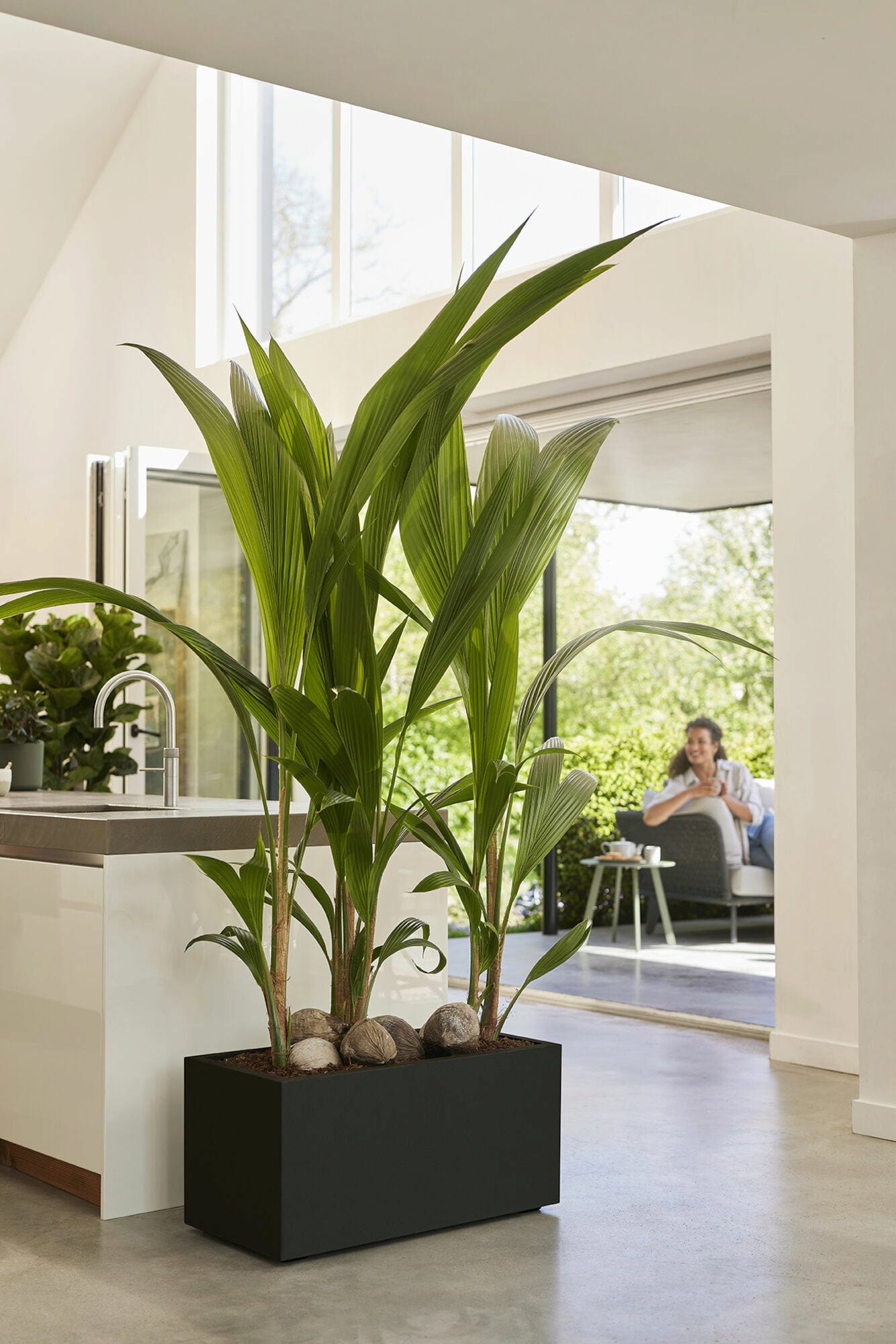 Elho Pflanzkasten Vivo Next Lang - 60 Cm, Living Schwarz