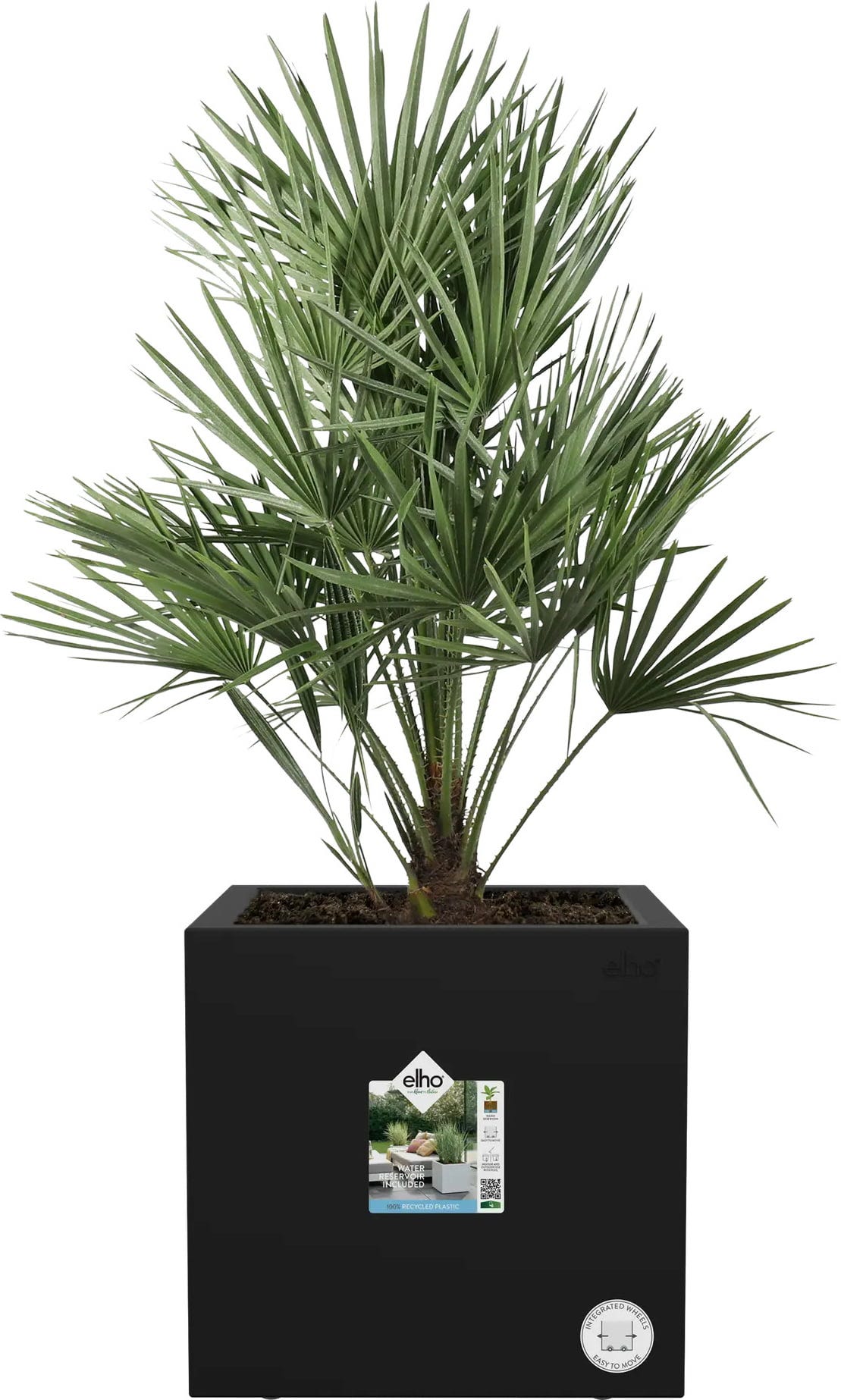 Elho Pflanztopf Vivo Next Quadrat - 30 Cm, Living Schwarz