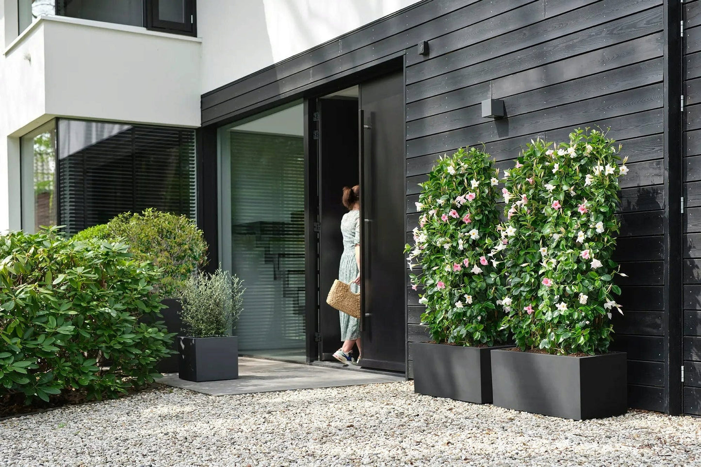 Elho Pflanztopf Vivo Next Quadrat - 30 Cm, Living Schwarz