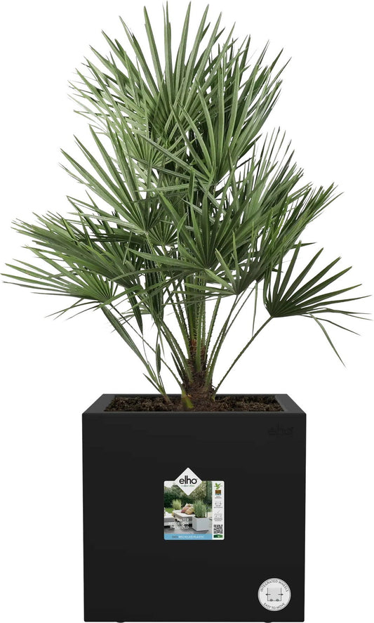 Elho Pflanztopf Vivo Next Quadrat - 40 Cm, Living Schwarz
