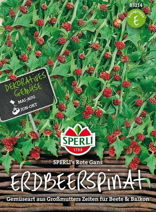  Erdbeerspinat "Sperli's Rote Gans"