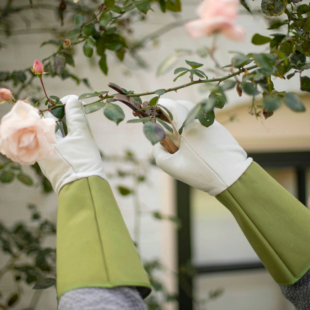 ESSCHERT DESIGN Gartenhandschuhe Mit Stulpe L