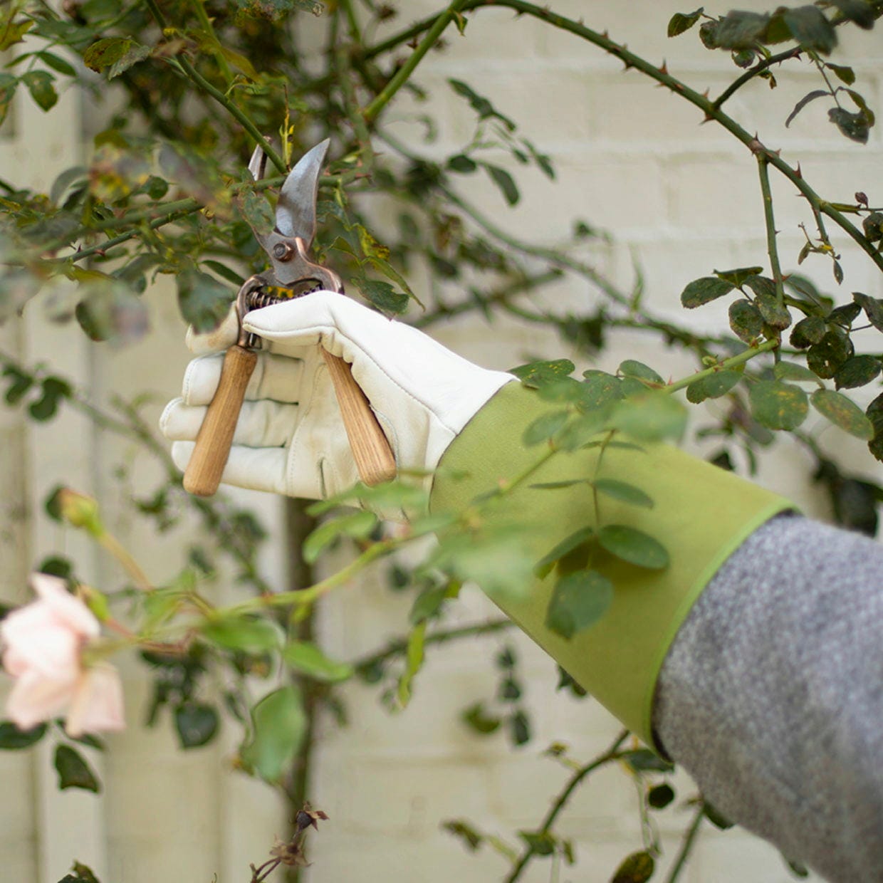 ESSCHERT DESIGN Gartenhandschuhe Mit Stulpe L