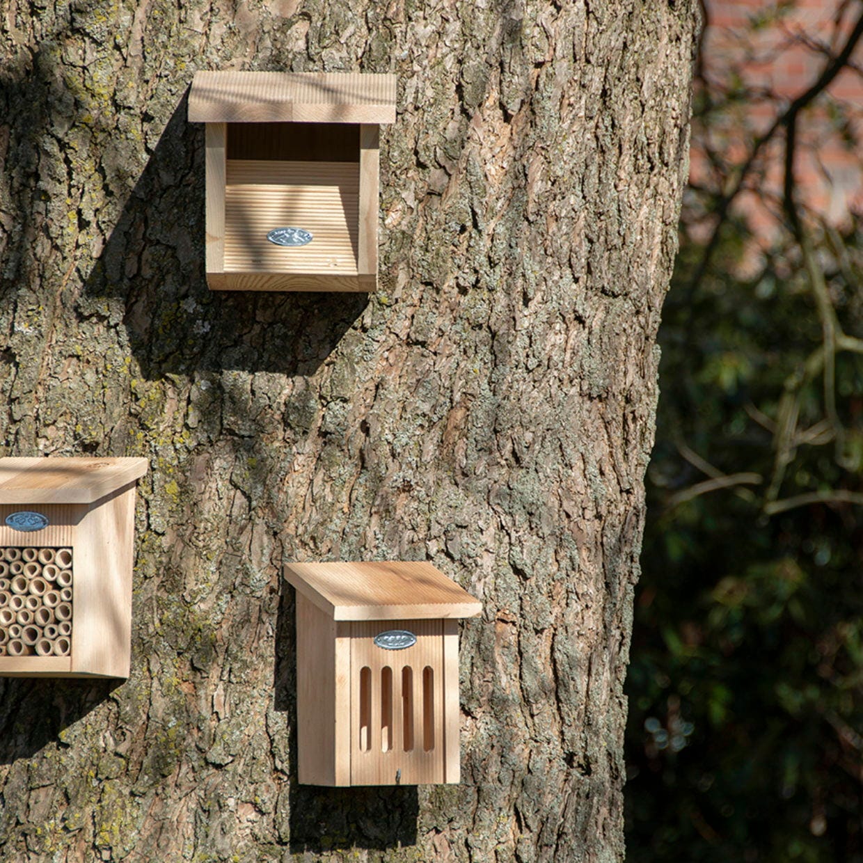 ESSCHERT DESIGN Nistkasten "Rotkehlchen"