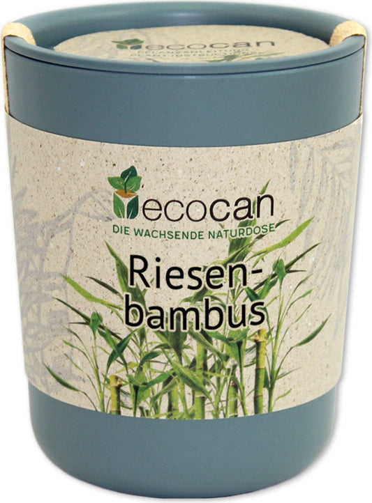  Ecocan "Exotics", Riesenbambus
