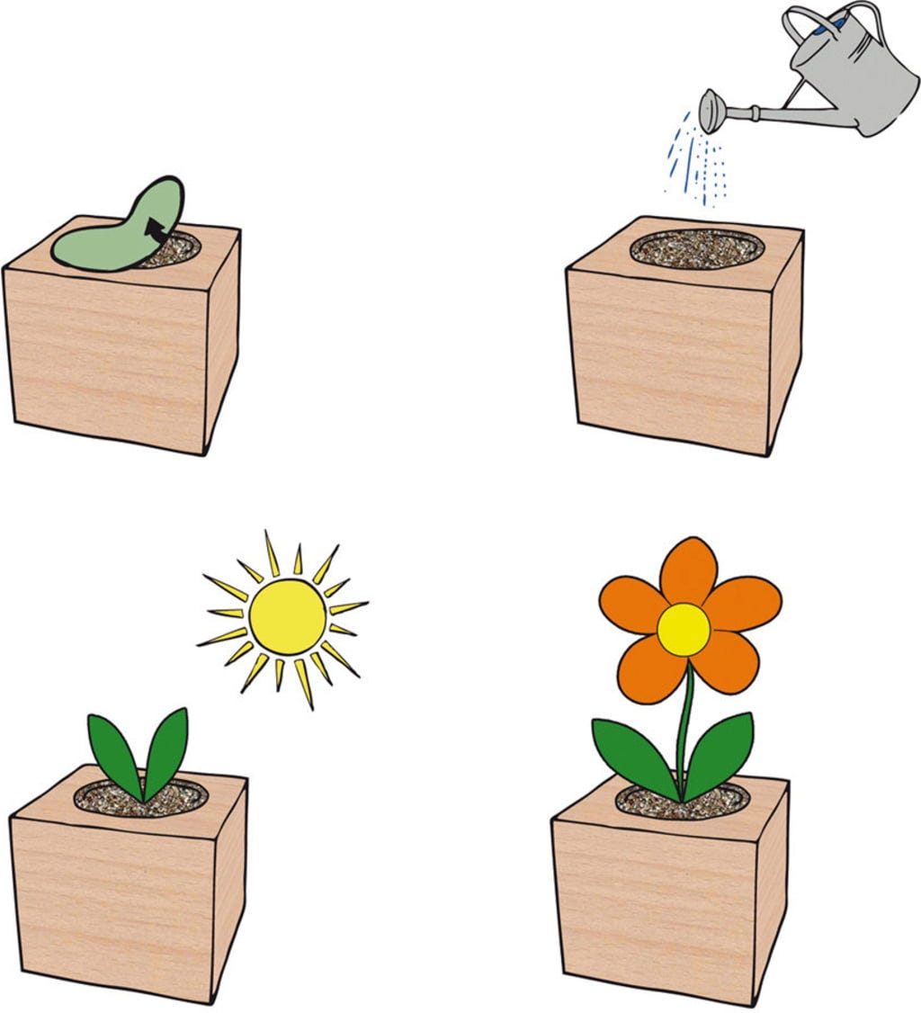  Ecocube "Edelweiß", Swiss-Edelweiß