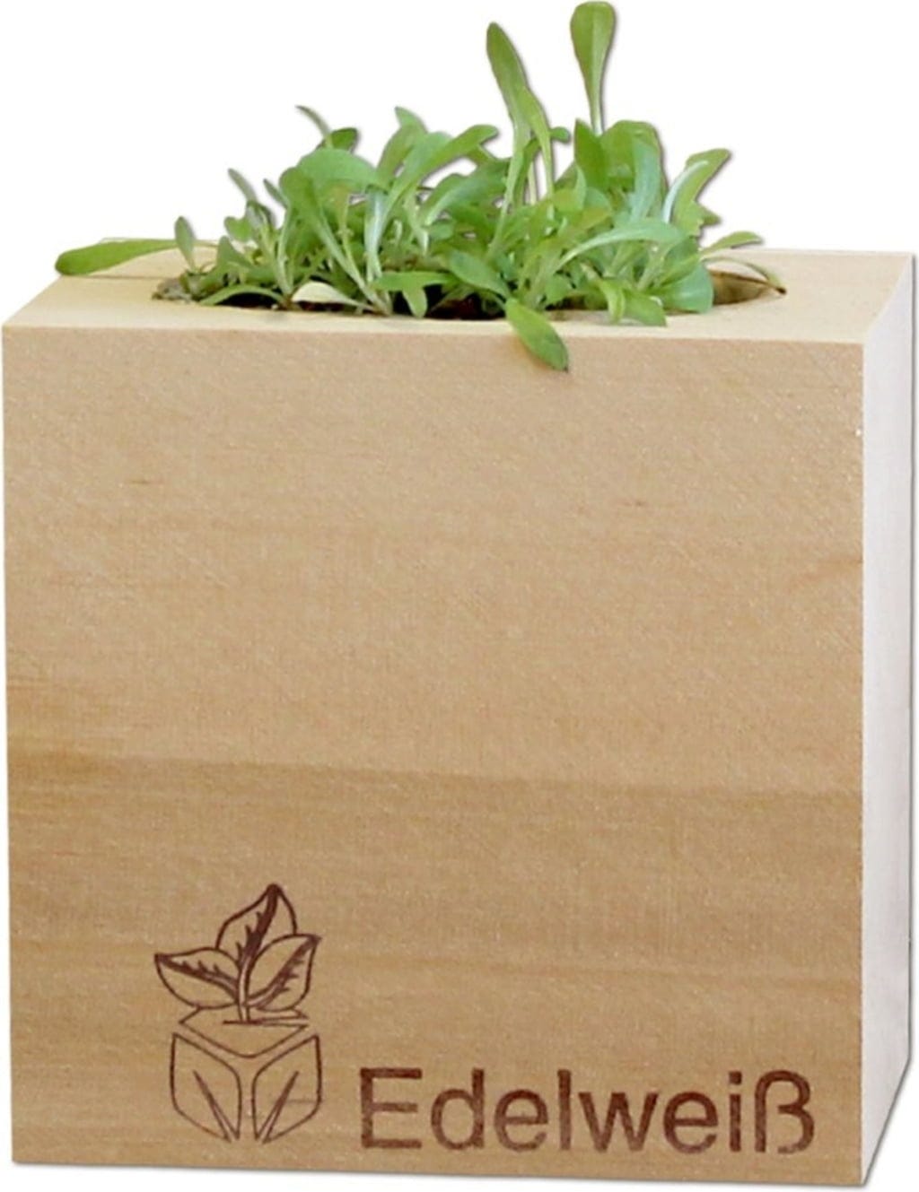  Ecocube "Edelweiß", Swiss-Edelweiß