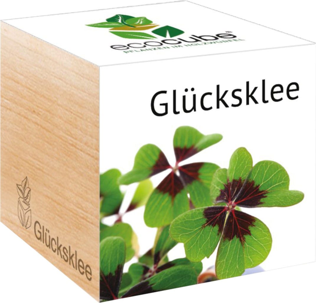 Ecocube "Glücksklee", Glücksklee