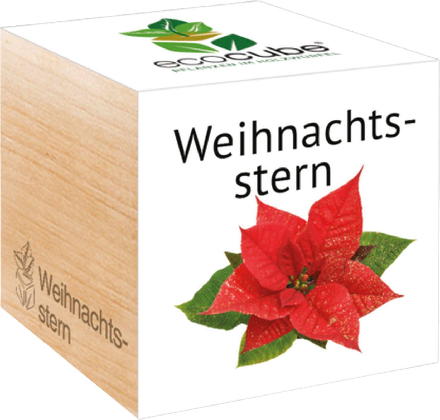  Ecocube "Weihnachtsstern"