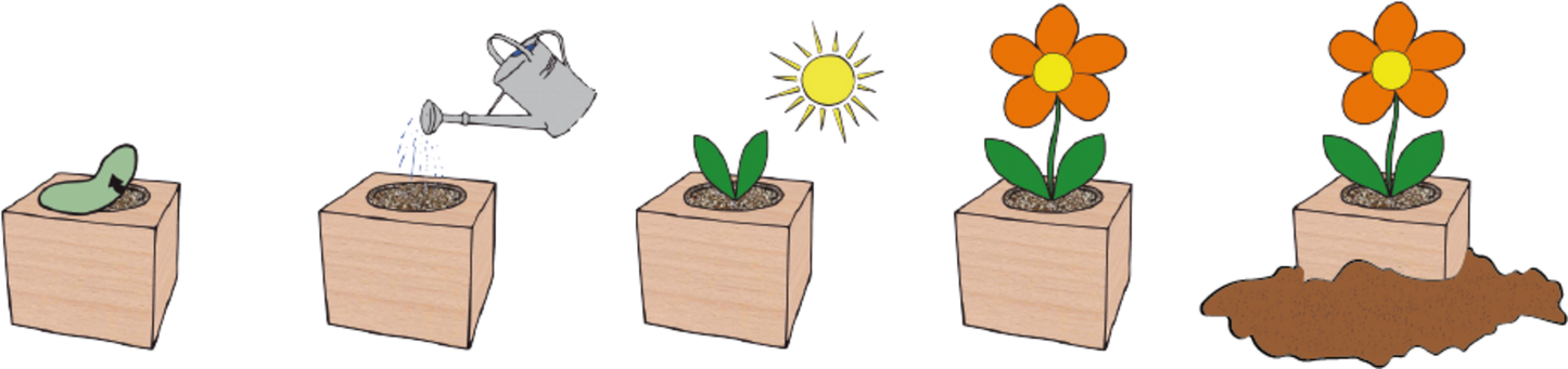  Ecocube "Weihnachtsstern"