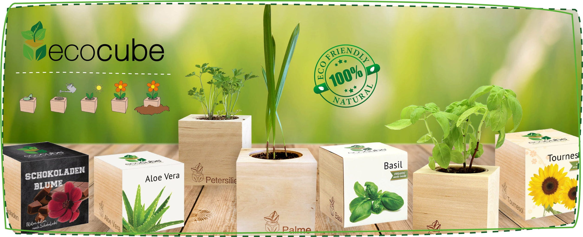  Ecocube "Weihnachtsstern"