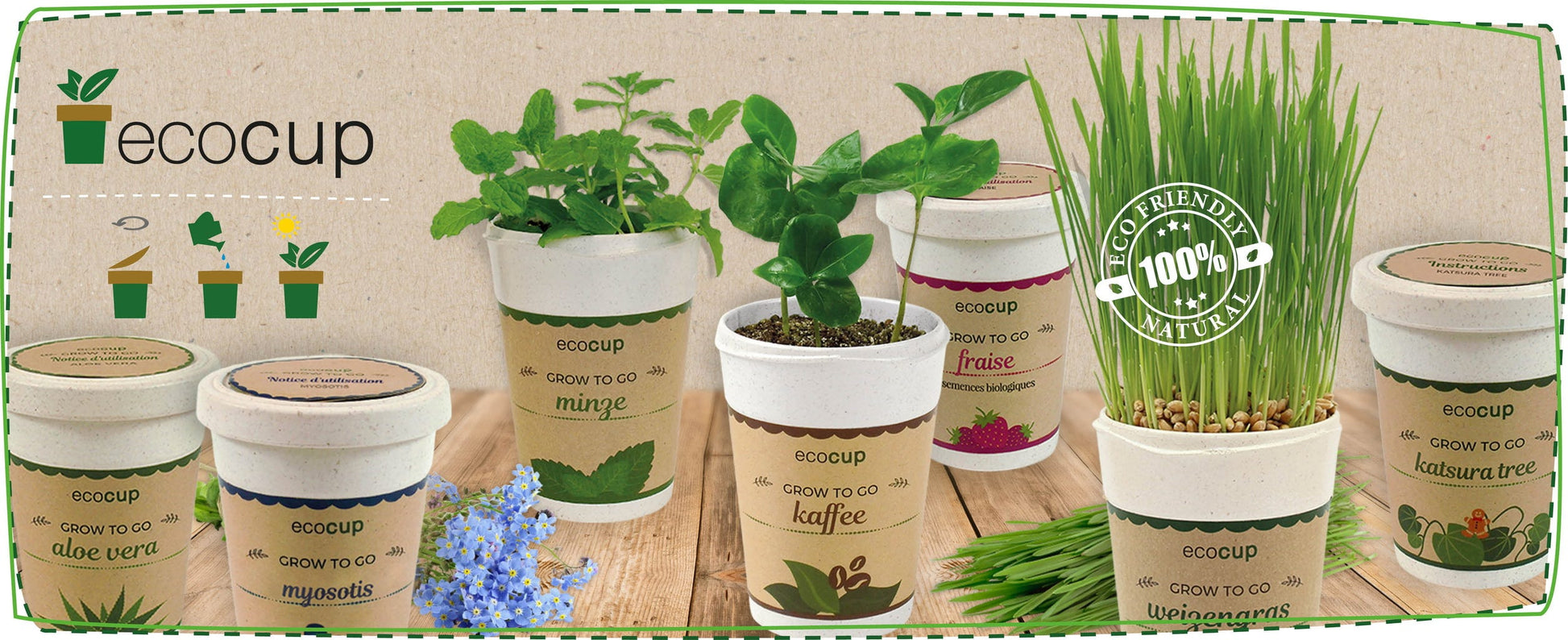  Ecocup "Orchideenbaum"