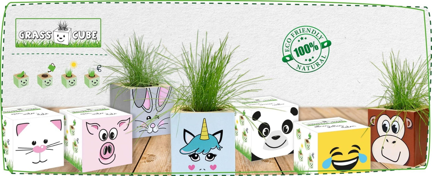  Grass Cube "Hase"