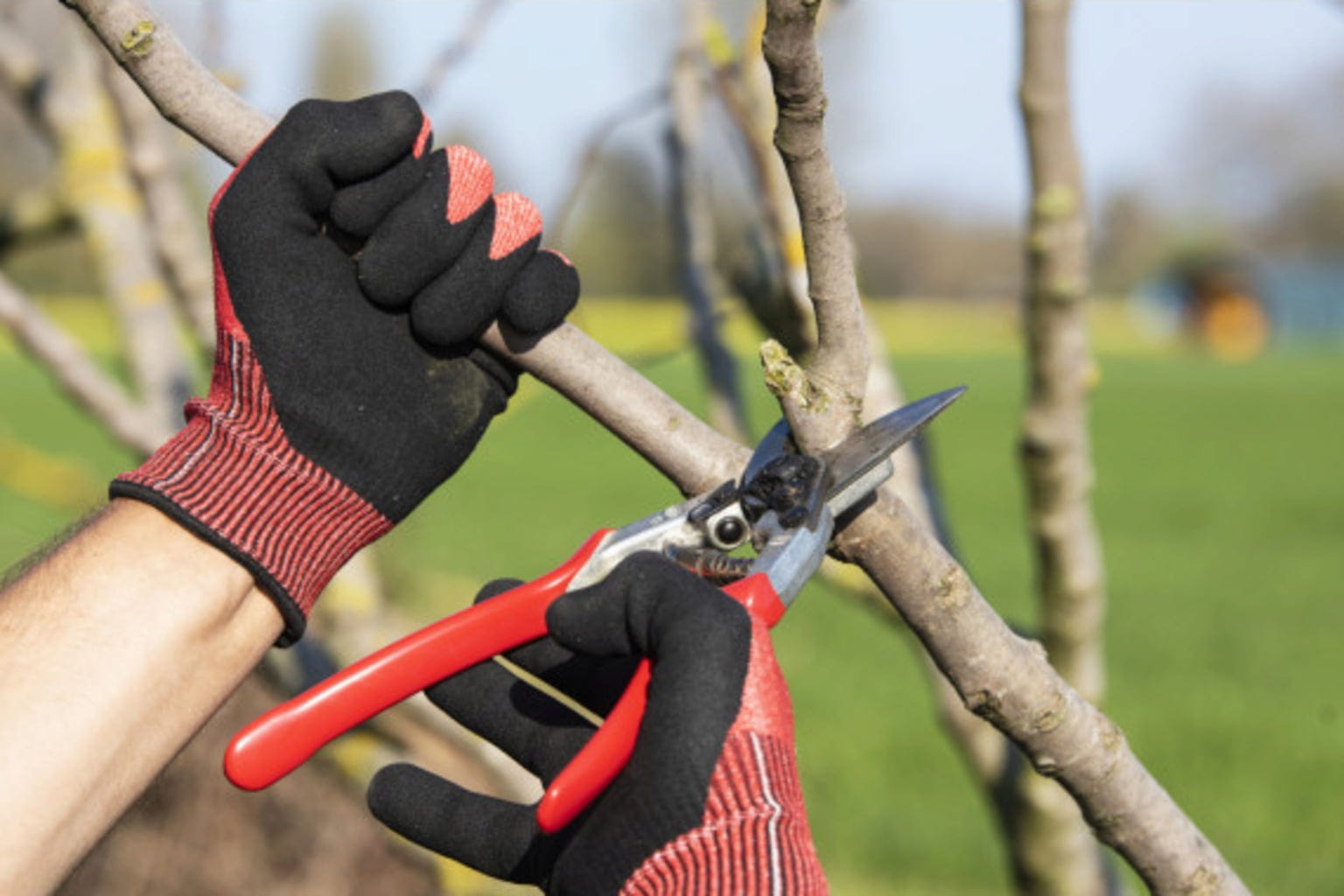 Felco Arbeitshandschuhe Gestrickt Mit Nitrilbeschichtung, M