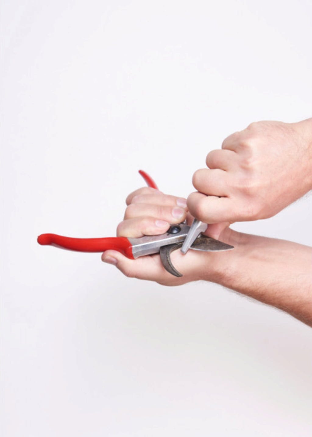 Felco Schleifwerkzeug