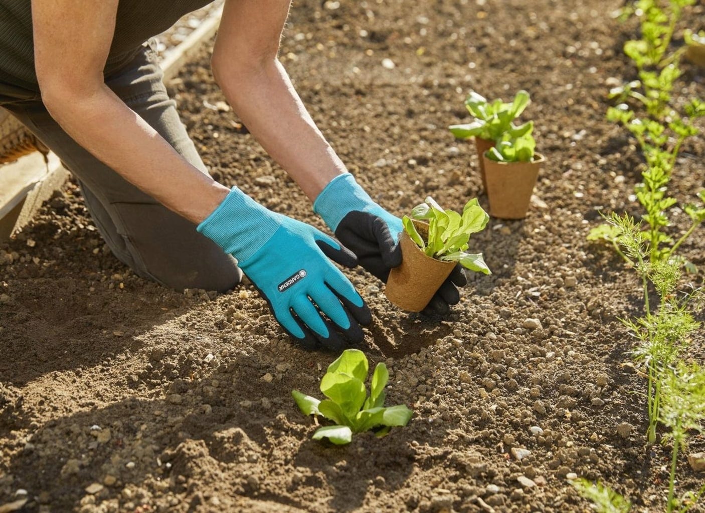 Gardena Pflanz- Und Bodenhandschuh Größe 7 / S
