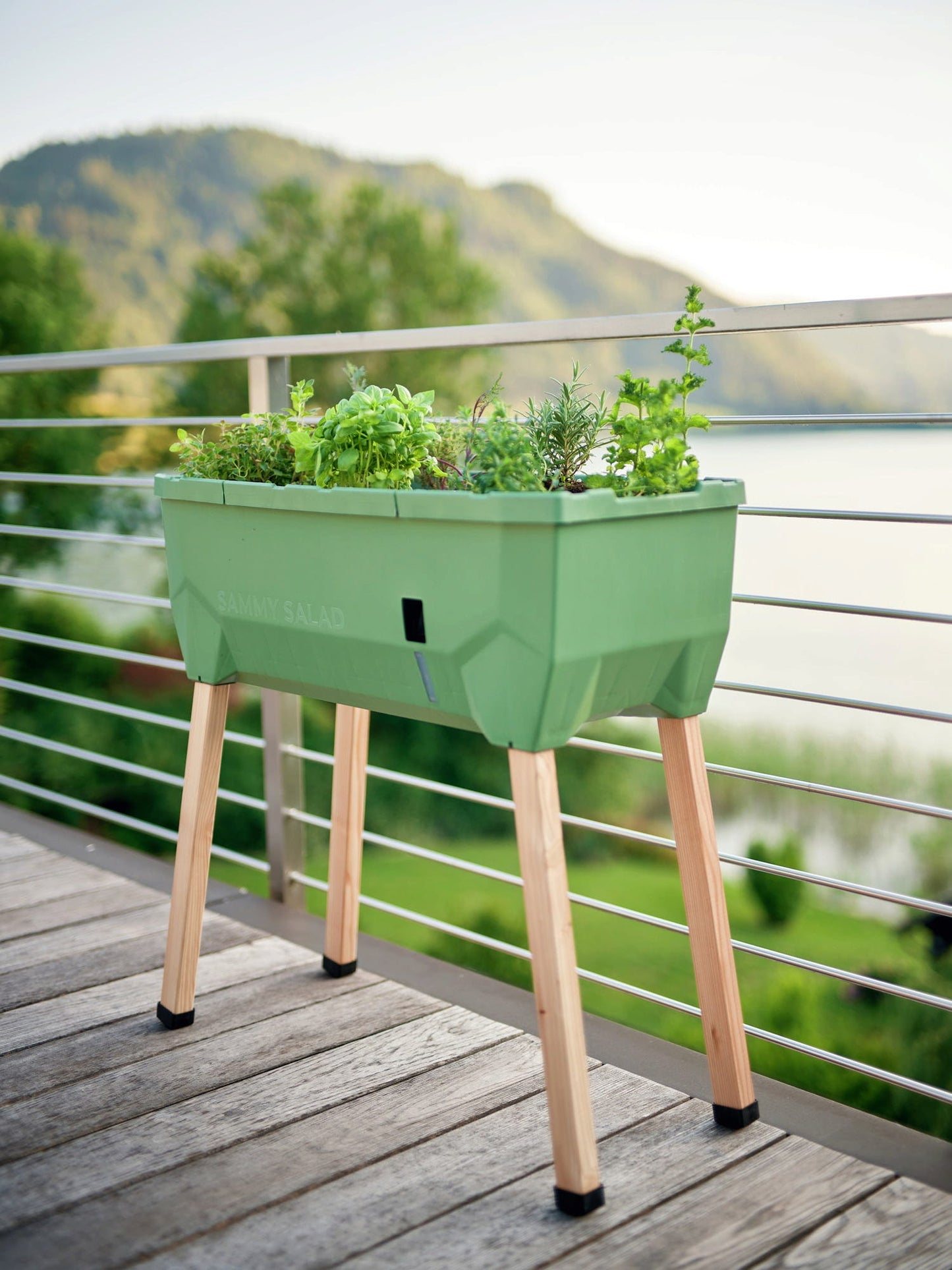  Sammy Salad Hochbeet - Ohne Haube, Dunkelgrün