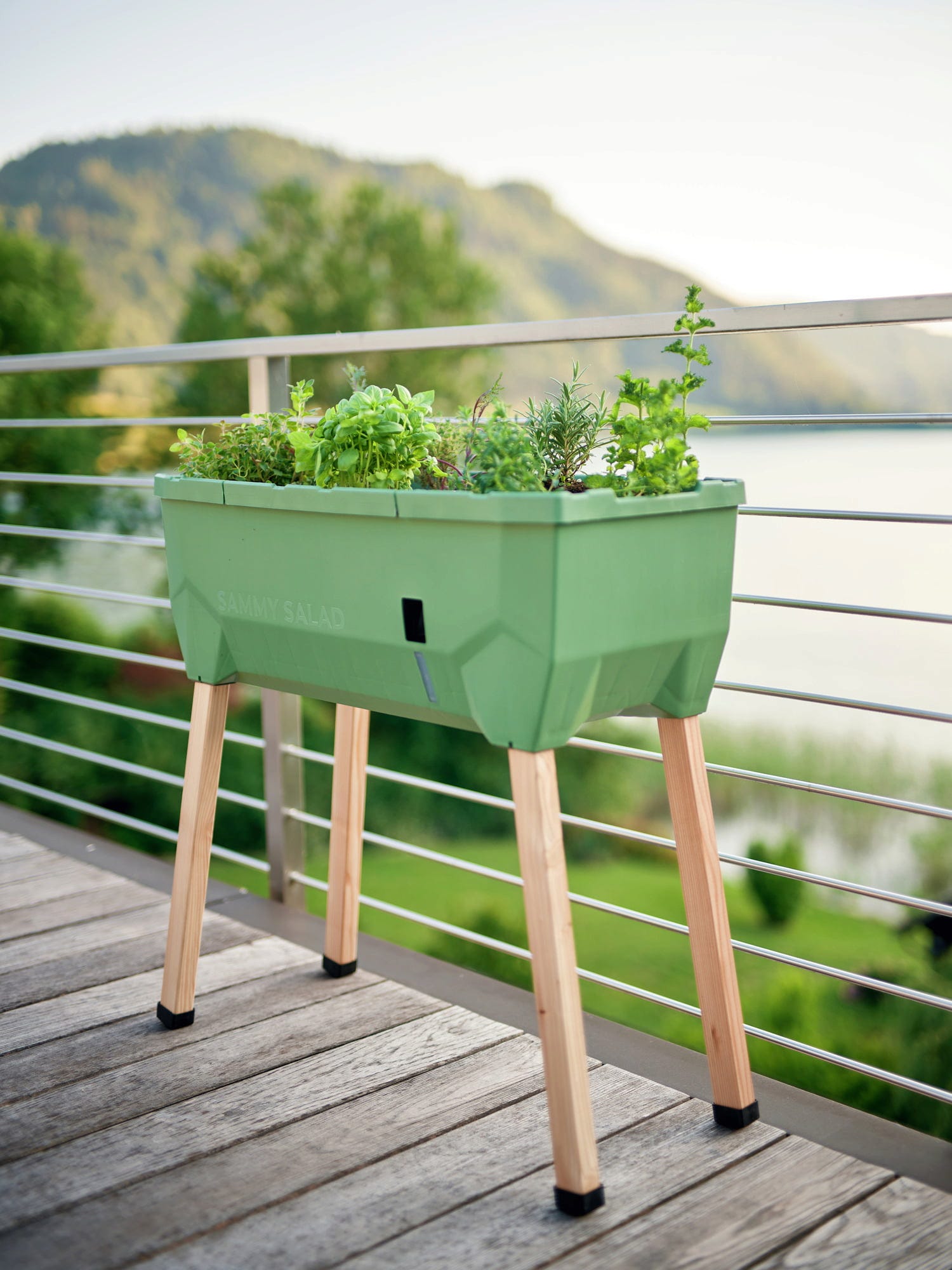  Sammy Salad Hochbeet - Ohne Haube, Dunkelgrün