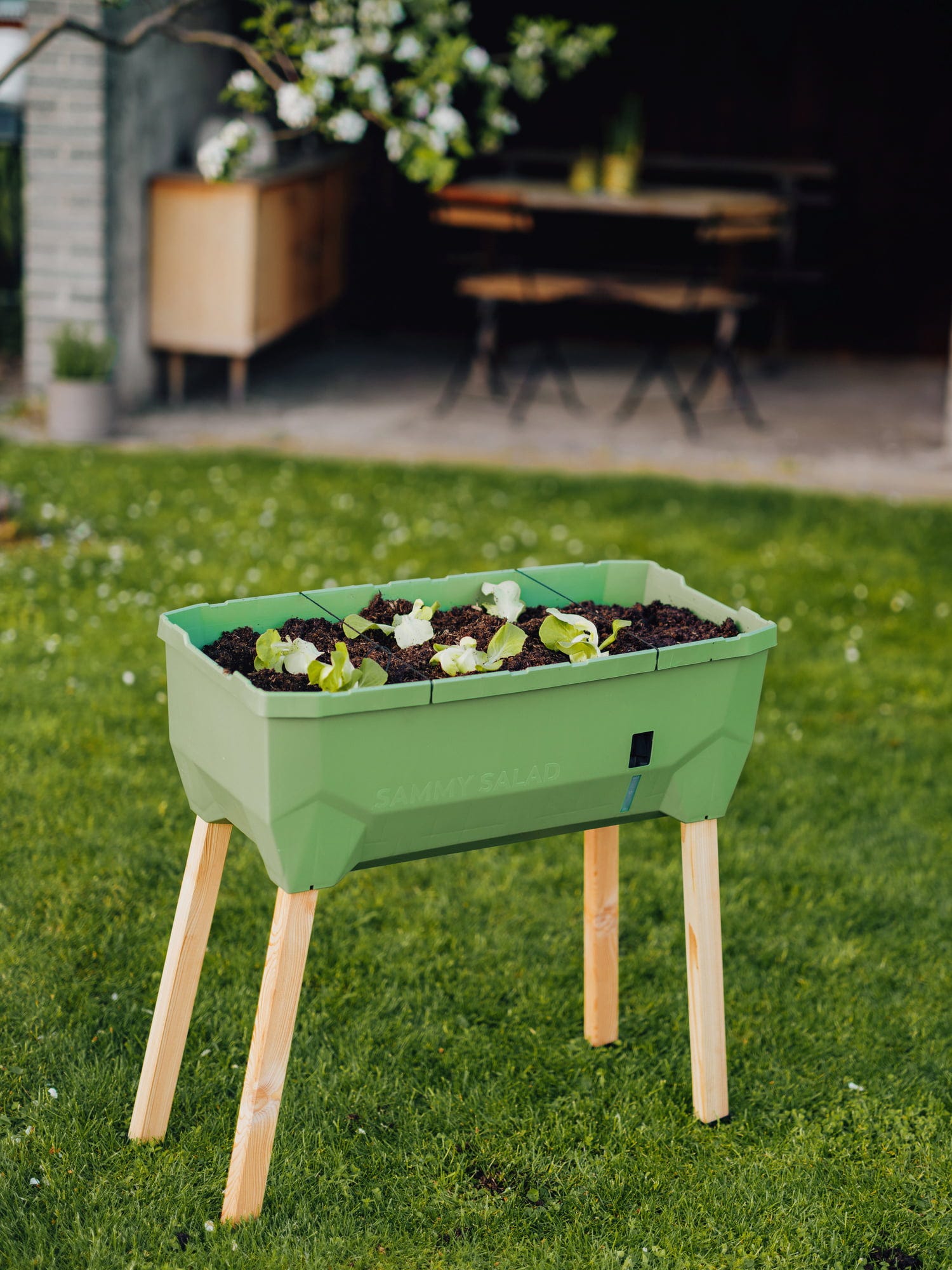  Sammy Salad Hochbeet - Ohne Haube, Dunkelgrün
