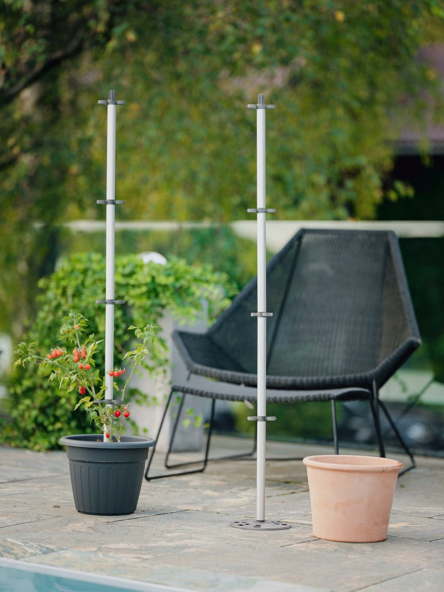  Tomato Buddy 3er Set - Tomatenrankhilfe
