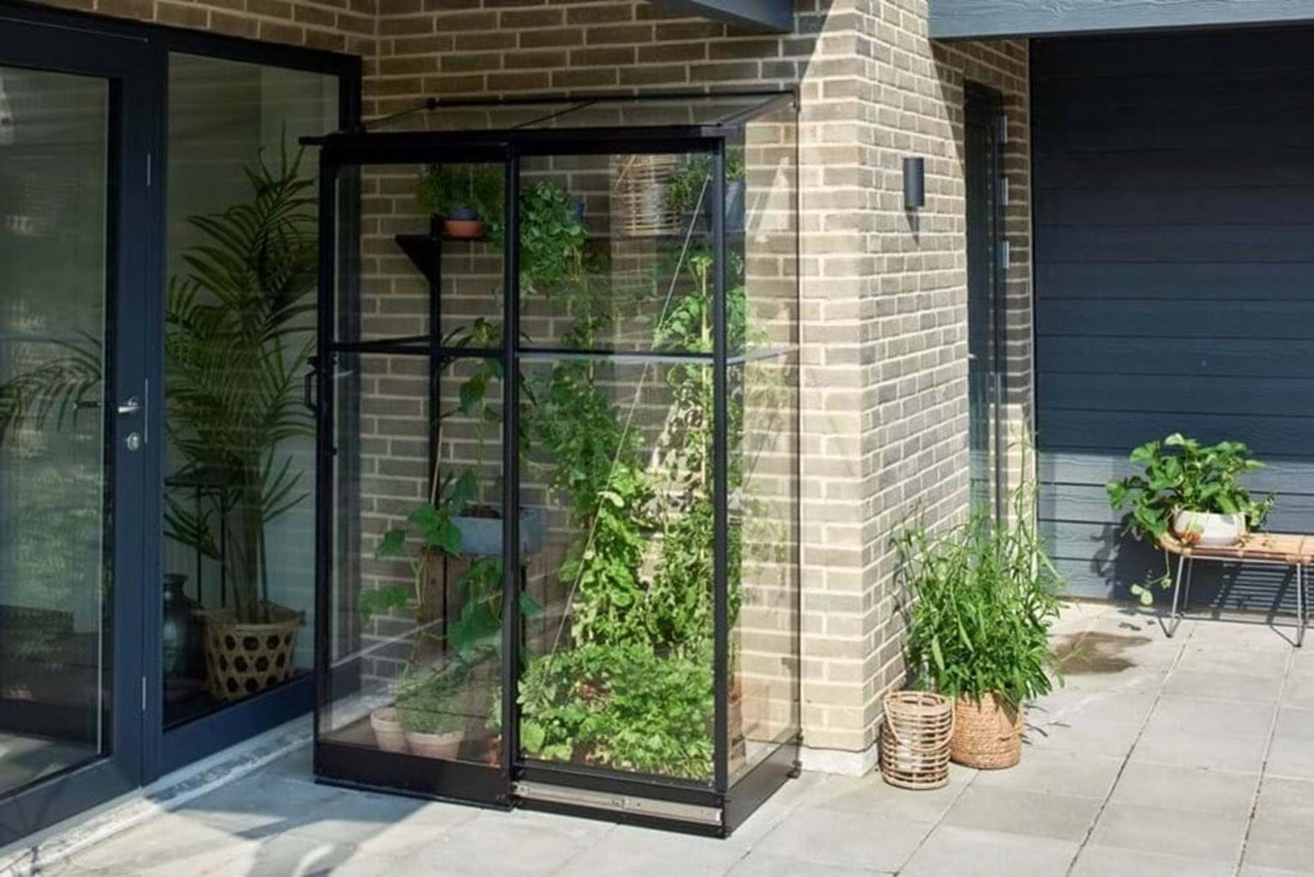 Halls Gewächshaus "Qube Lean-to", 0,8 M² (24)