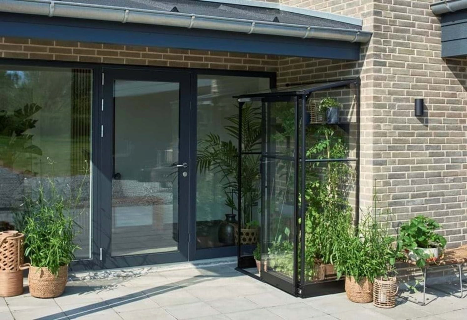Halls Gewächshaus "Qube Lean-to", 0,8 M² (24)