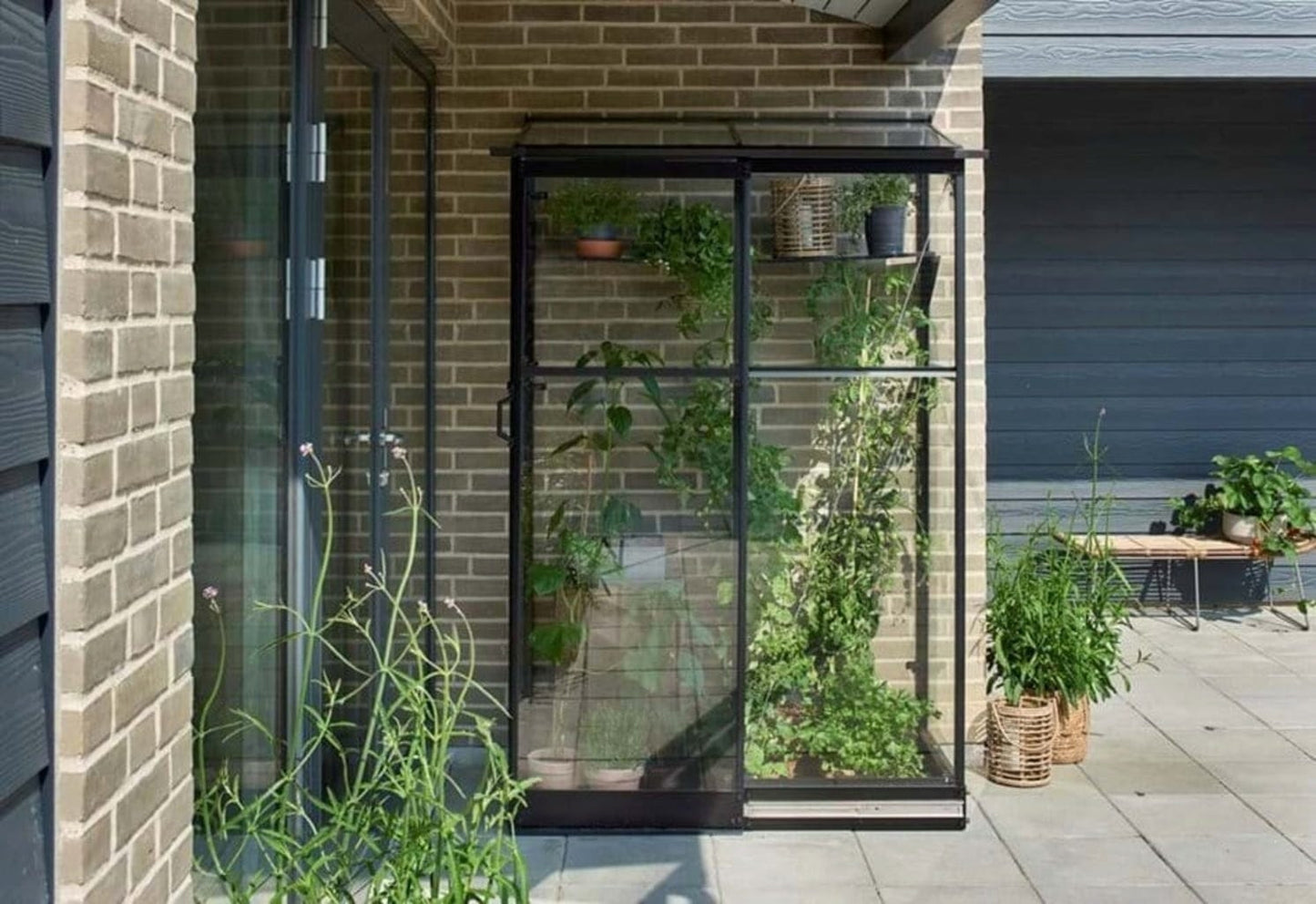 Halls Gewächshaus "Qube Lean-to", 0,8 M² (24)