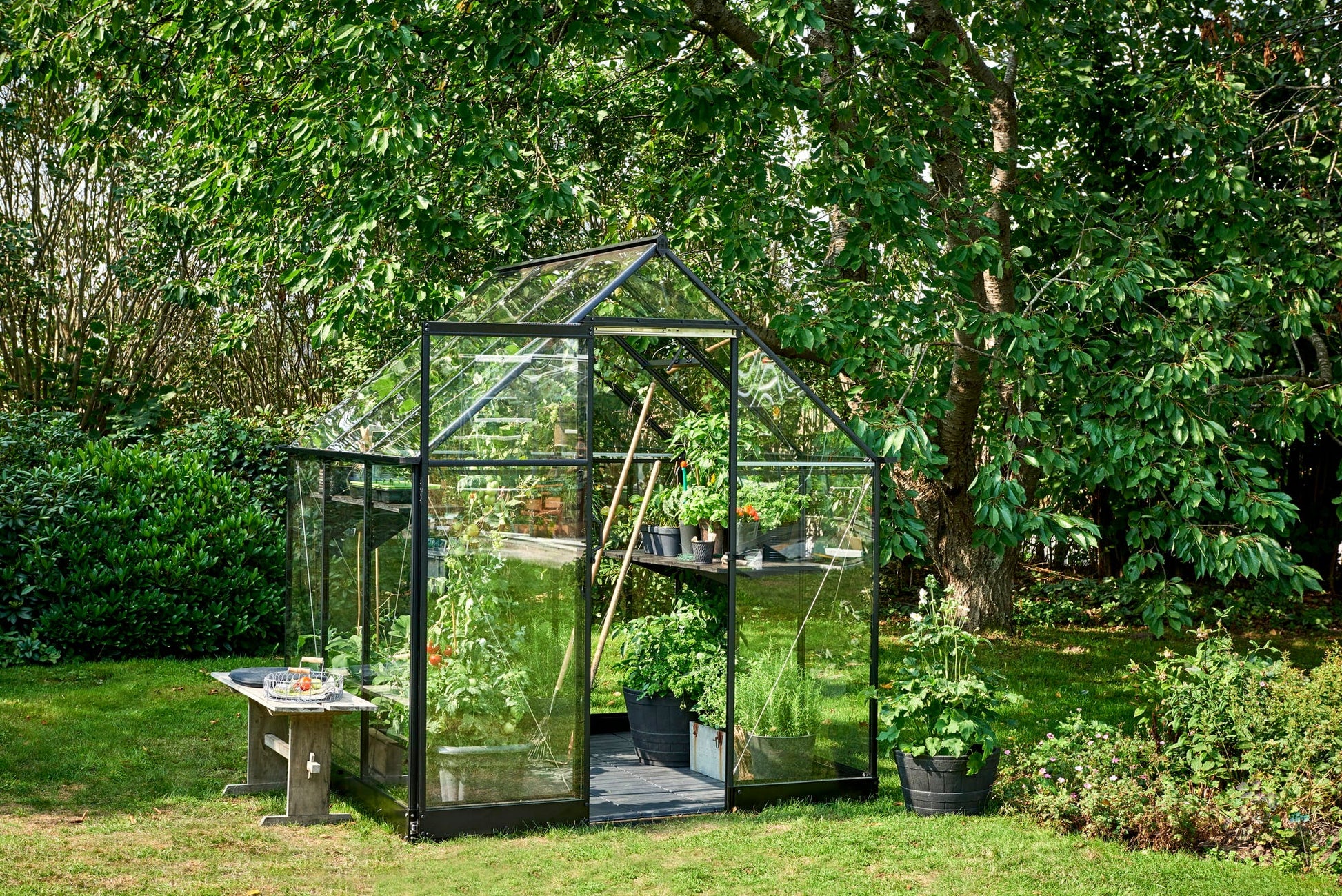 Halls Gewächshaus "Qube" - Schwarz, 3,9 M² (66)