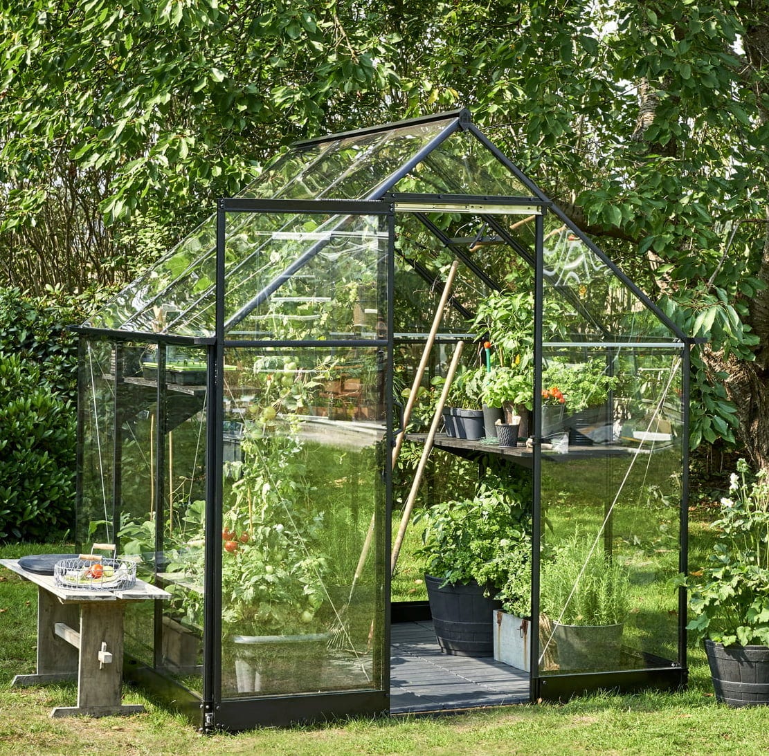 Halls Gewächshaus "Qube" - Schwarz, 3,9 M² (66)