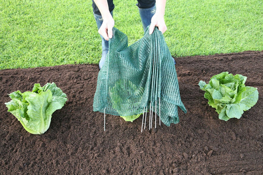  Easy Net Tunnel, Standard