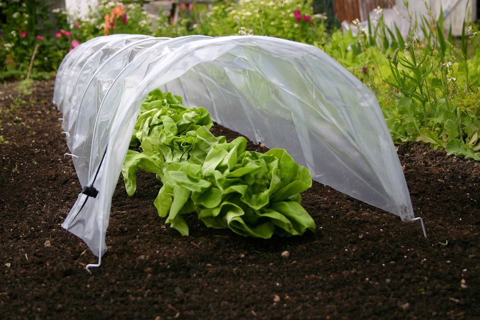  Easy Poly Tunnel, Standard
