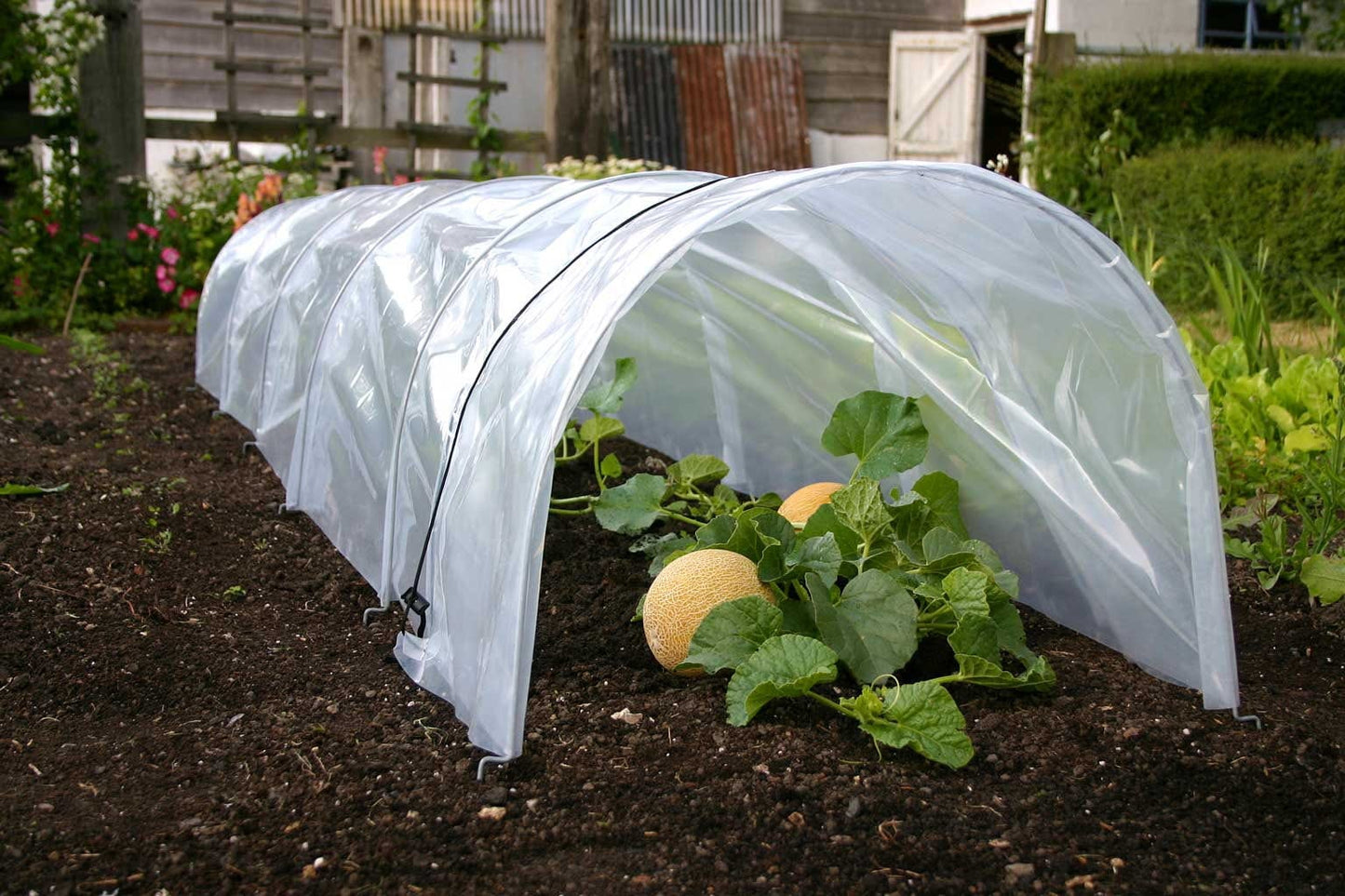  Easy Poly Tunnel, Standard