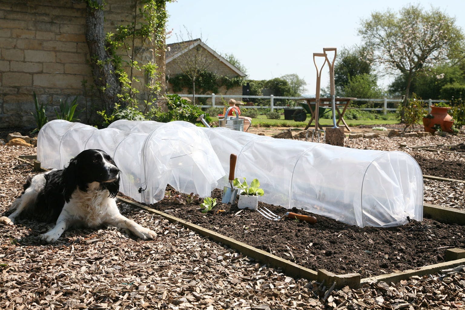  Easy Poly Tunnel, Standard