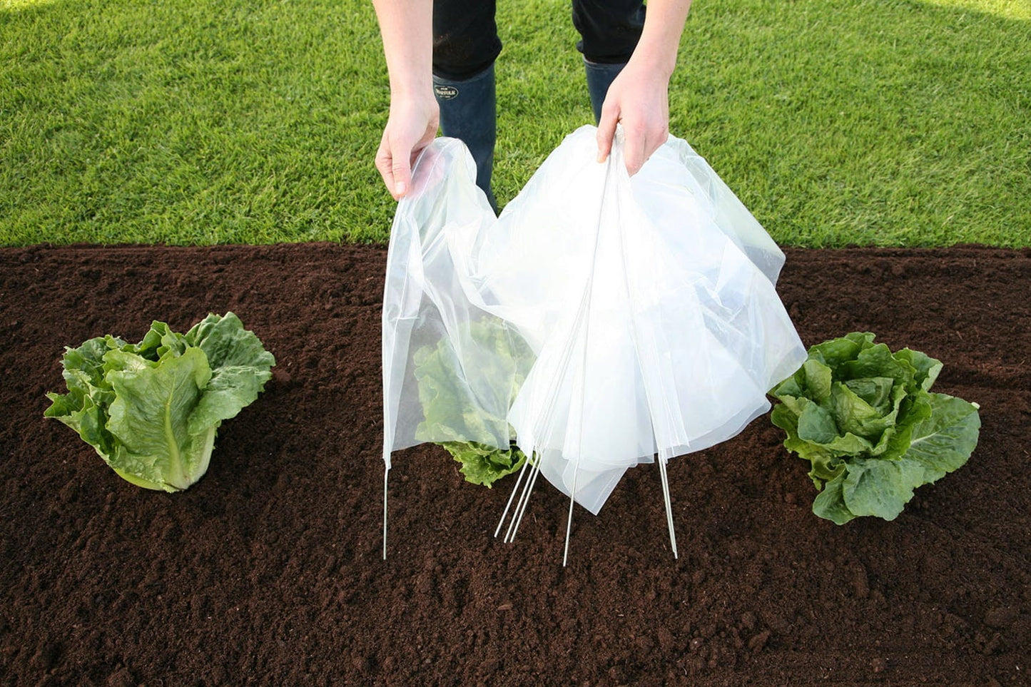  Easy Poly Tunnel, Standard