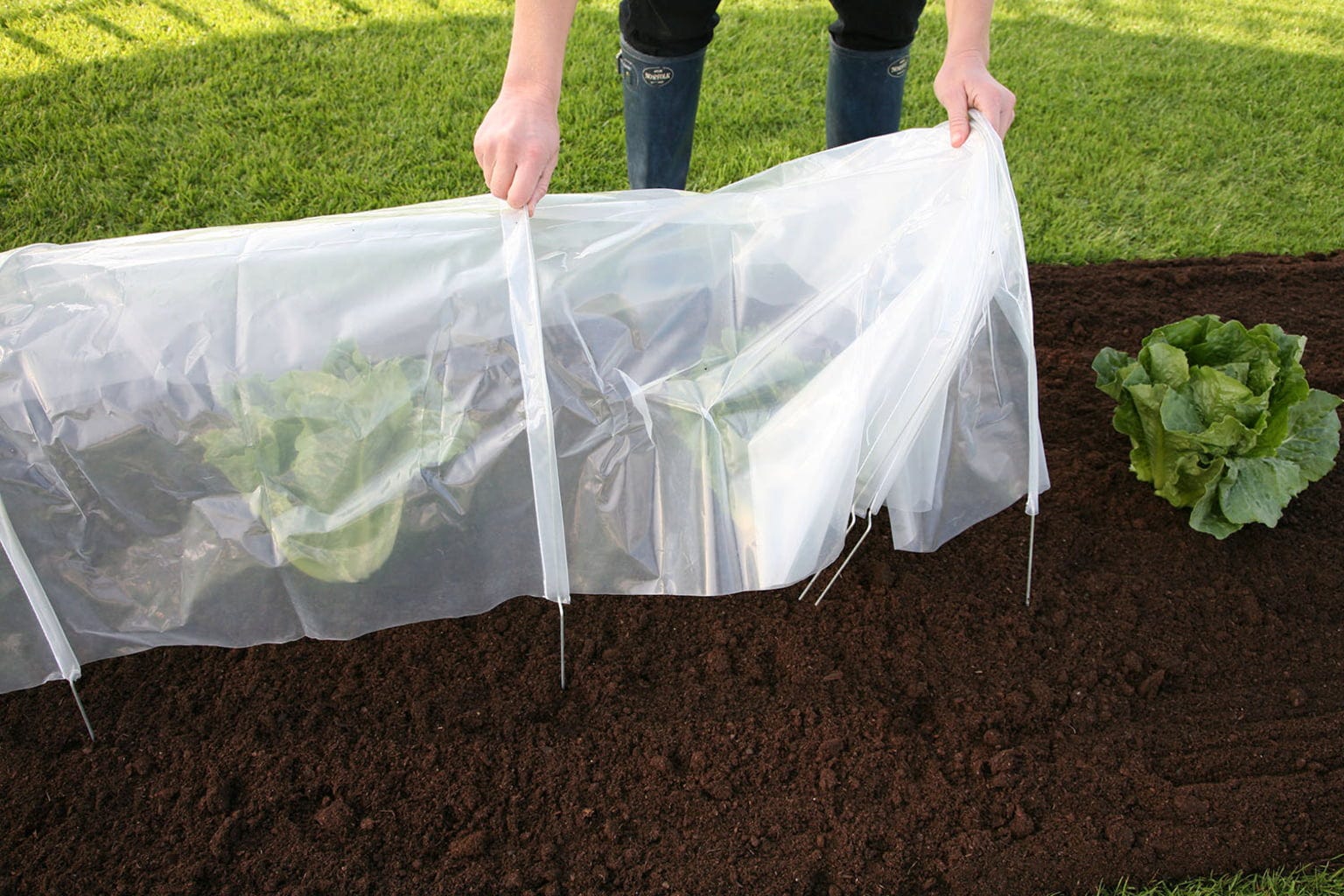  Easy Poly Tunnel, Standard