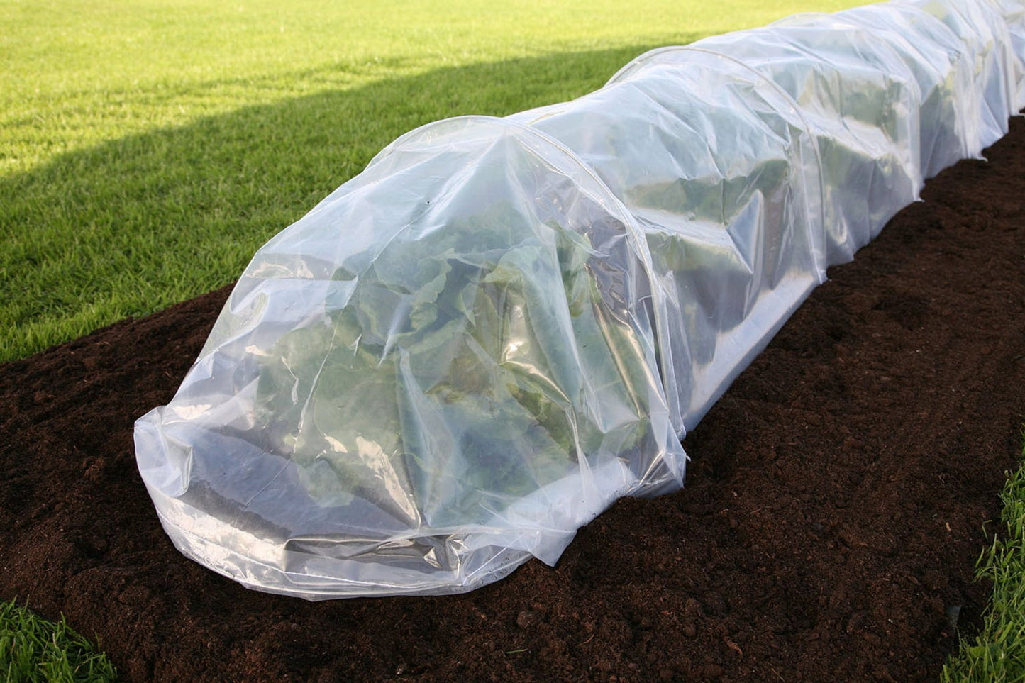  Easy Poly Tunnel, Standard