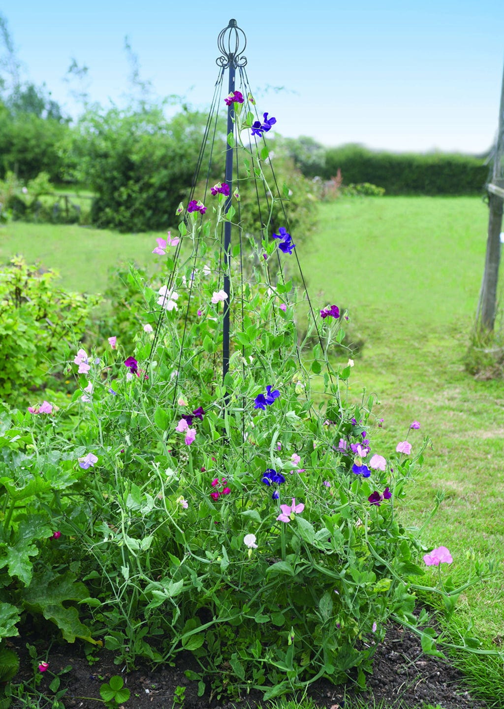  Garten-Maibaum
