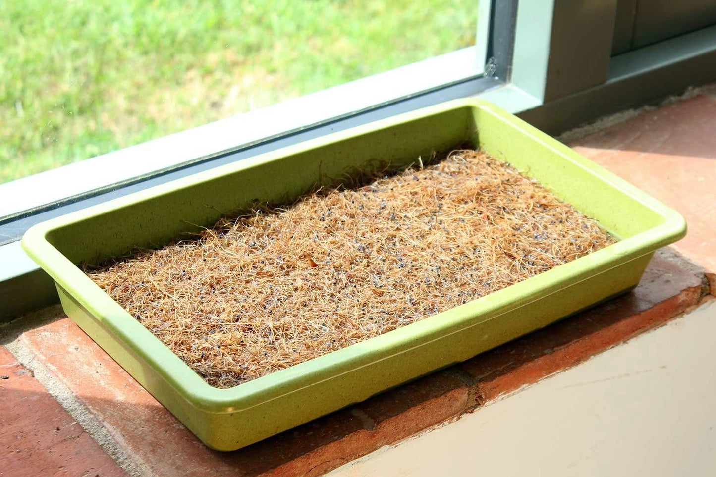  Microgreen-Anzuchtmatte, 3 Stück