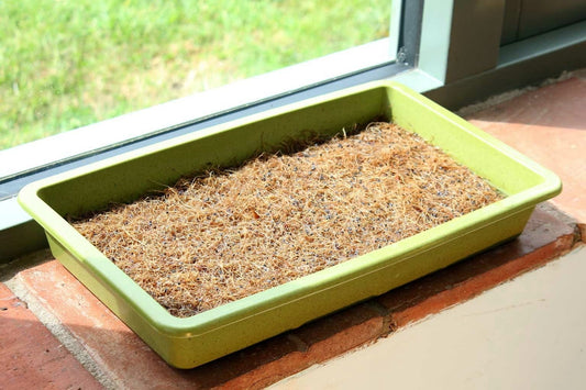  Microgreen-Anzuchtmatte, 3 Stück