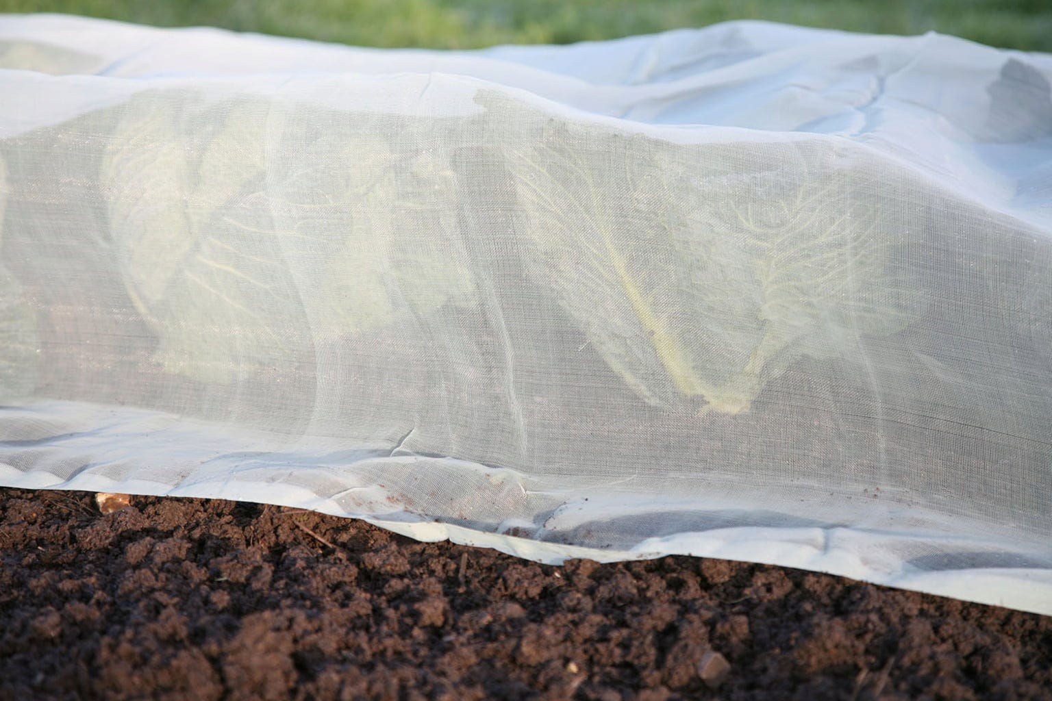  Micromesh Prepack
