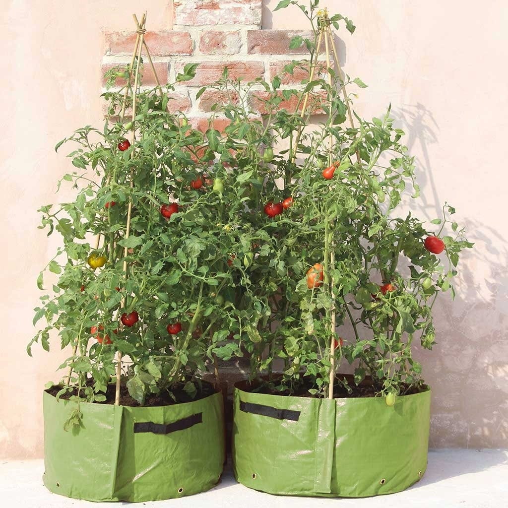  Tomaten-Pflanztasche Im 2er Set, Grün
