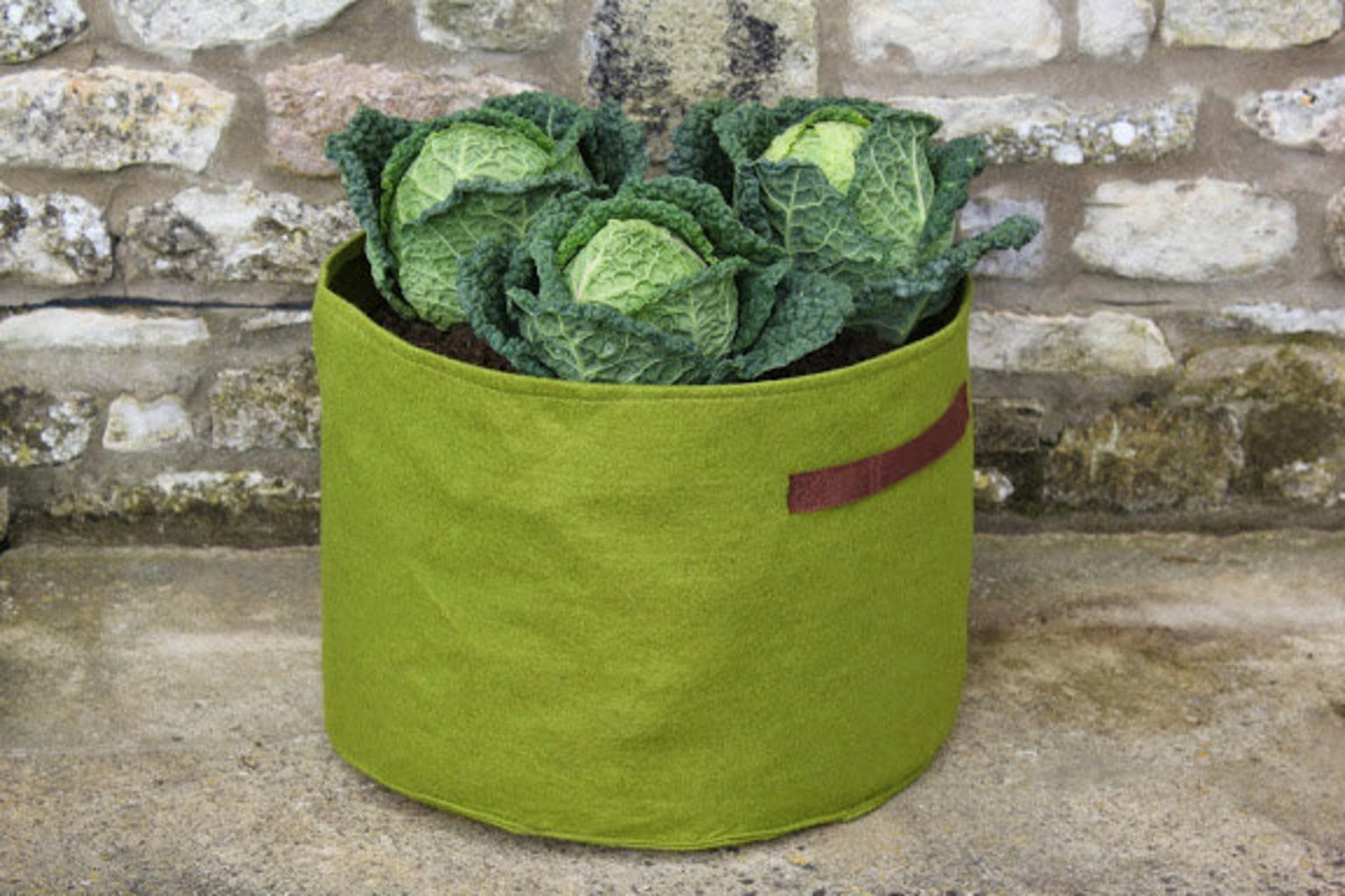  Vigoroot Gemüsepflanztasche