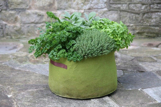  Vigoroot Kräuterpflanztasche