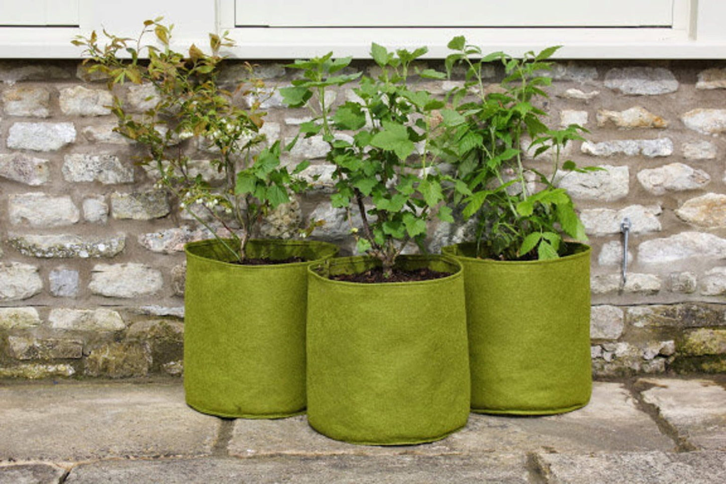  Vigoroot Pflanztaschen Im 3er Set, 5 L (3 Stück)