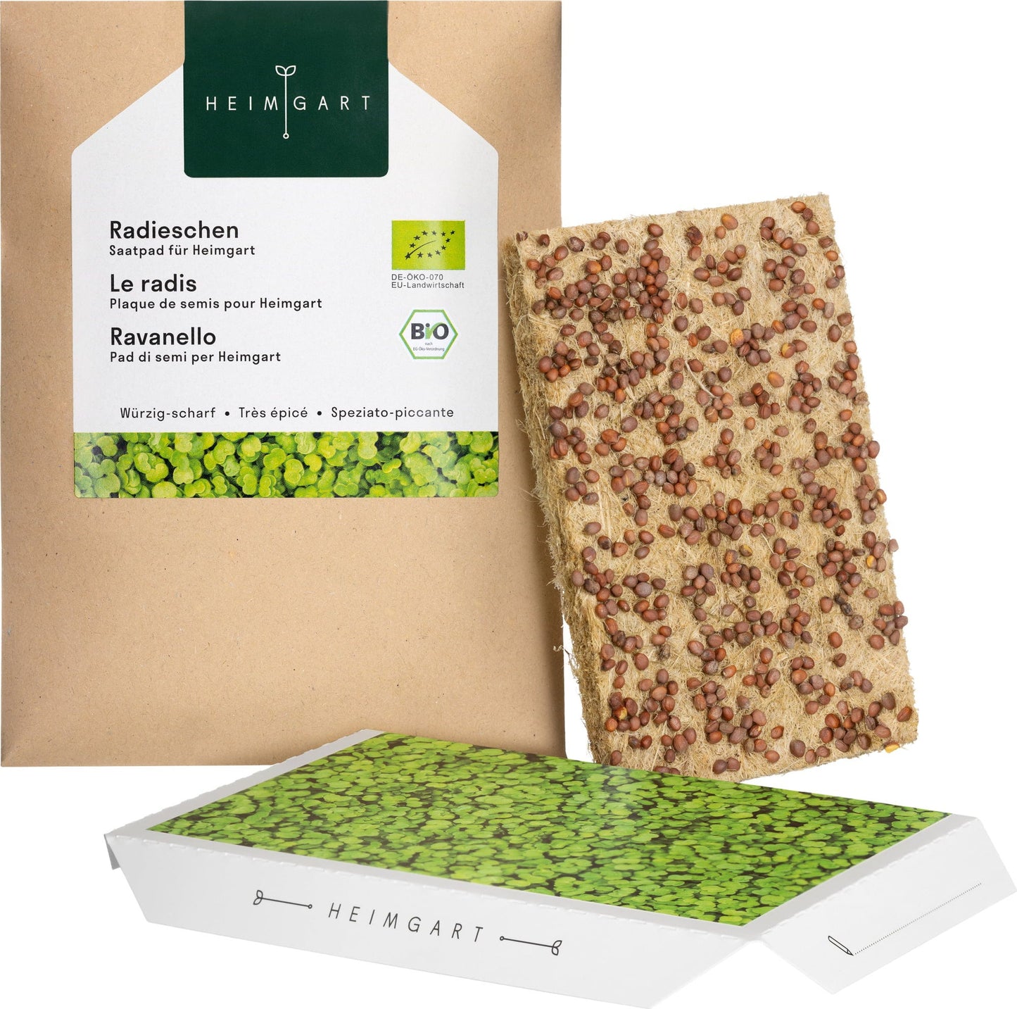  Radieschen Microgreens Saatpad