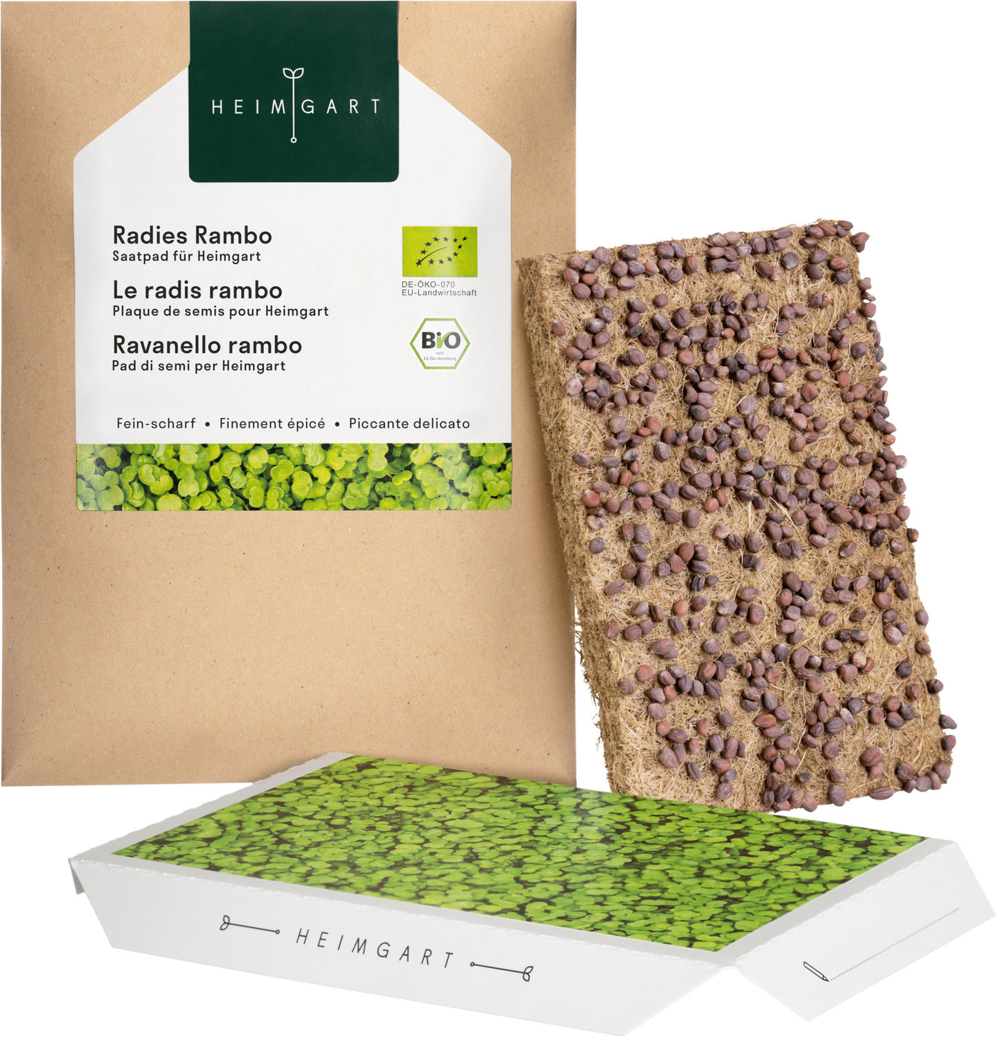  Radieschen Rambo Microgreen Saatpad