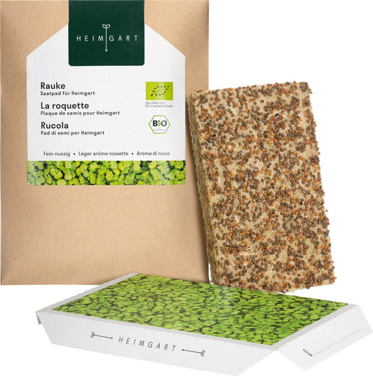  Rauke Microgreens Saatpad