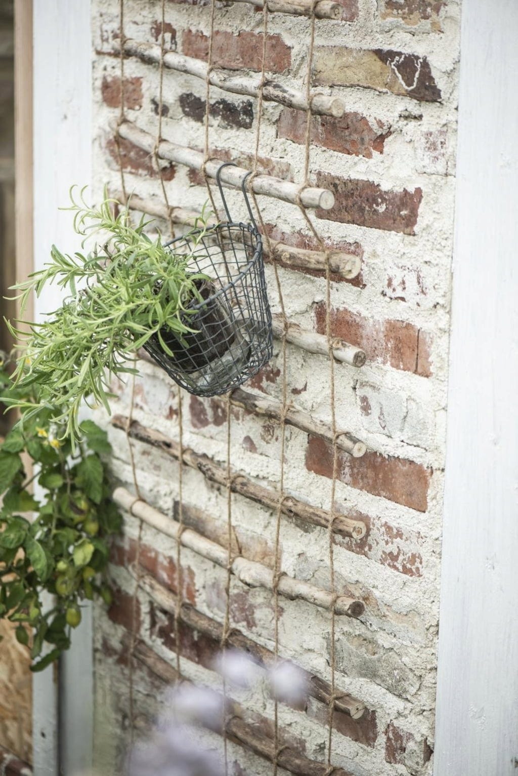  Wandspalier Für Töpfe & Kletterpflanzen