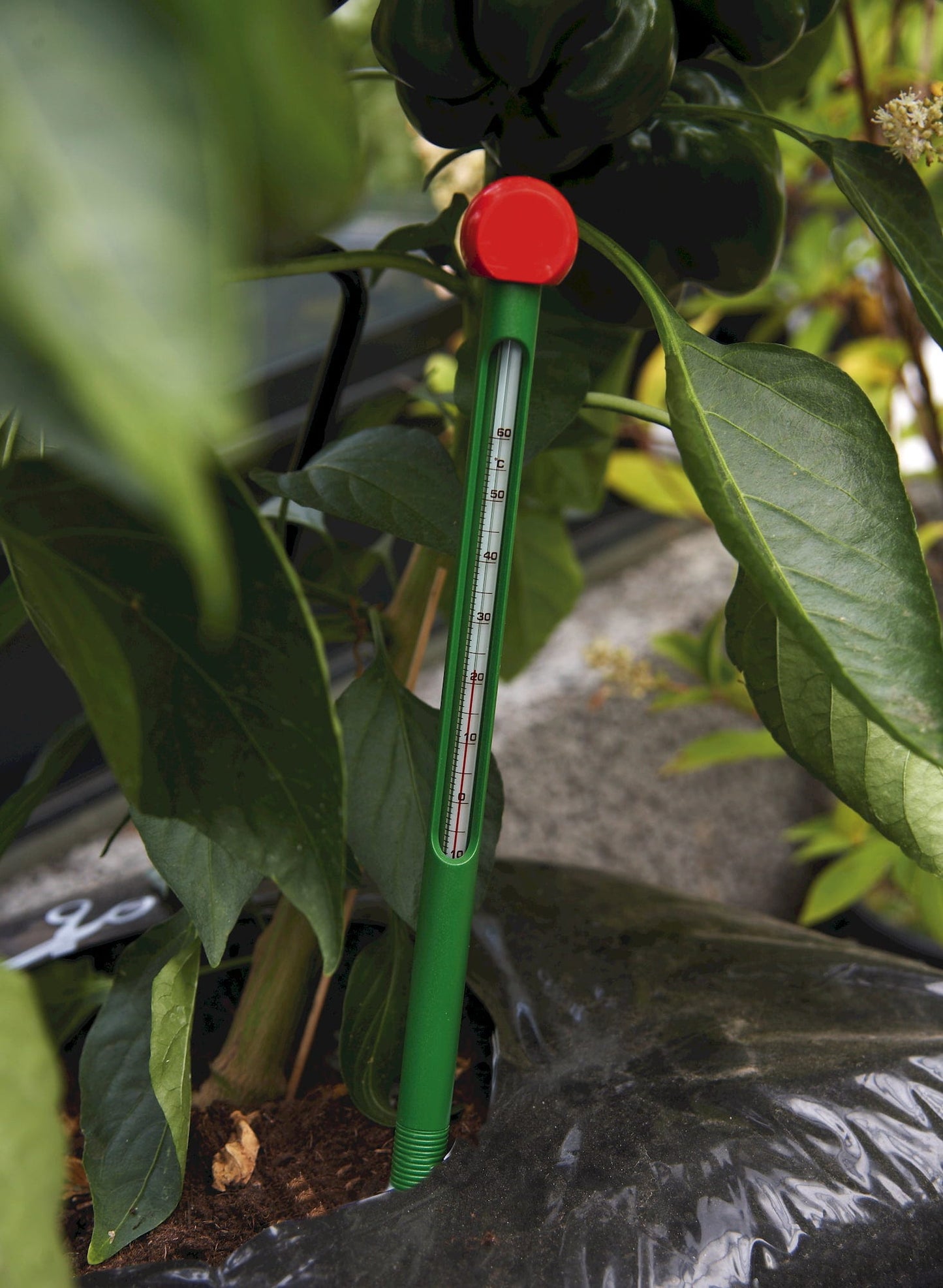 Juliana Erdbodenthermometer